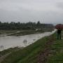 Der Fluss Lamone trat über die Ufer | Der Fluss Lamone trat über die Ufer