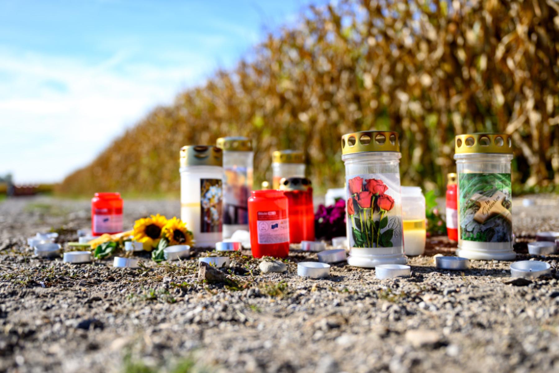 Naarn im Machland/Linz: Tödliche Hundeattacke: Tiere müssen eingeschläfert werden