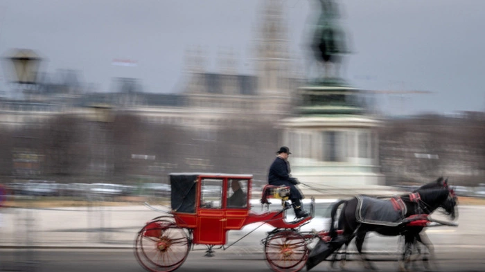 Verletzte bei Fiakerunfall in der Innenstadt (Symbolbild) | Verletzte bei Fiakerunfall in der Innenstadt (Symbolbild)