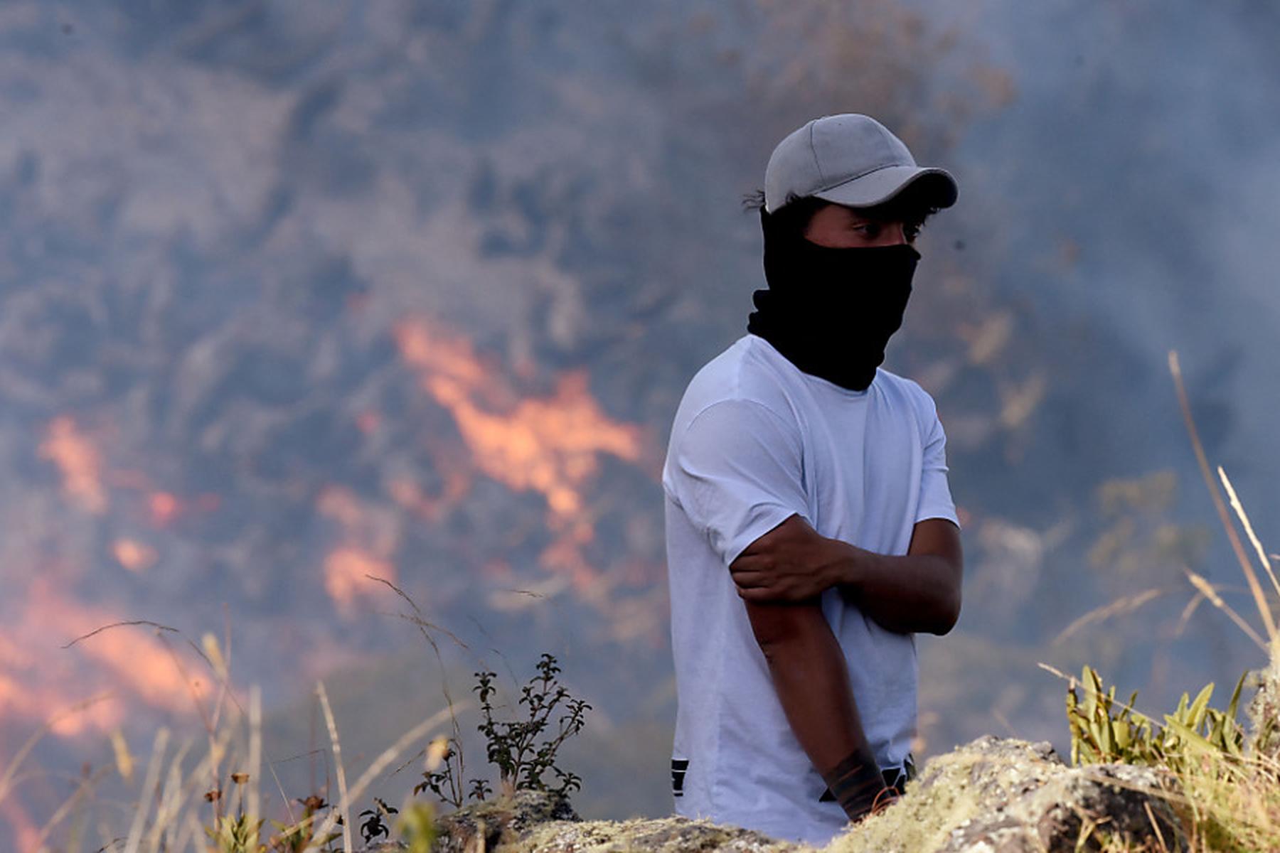 Paris/Caracas/Brasilia: Rekord-CO2-Ausstoß durch Waldbrände in Südamerika im Februar