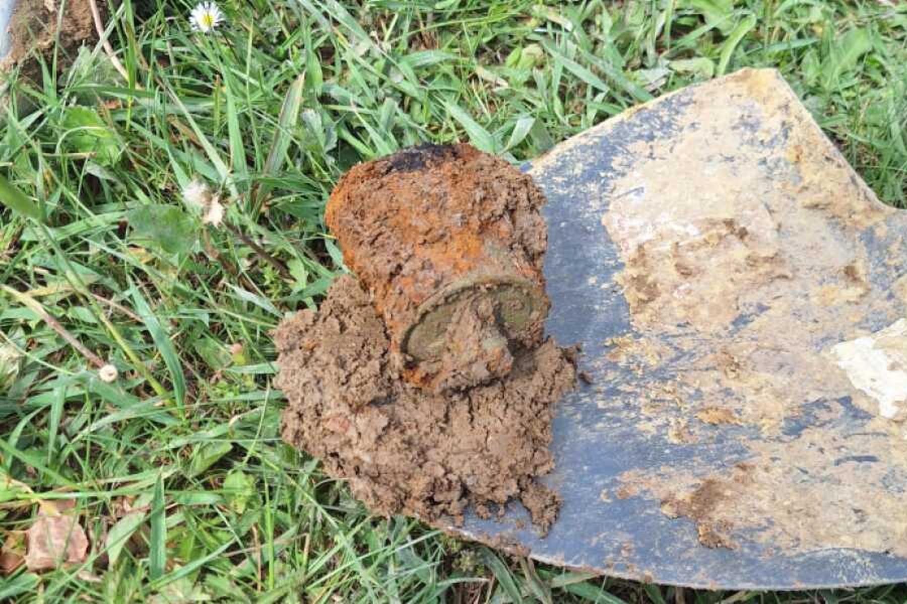 Niederleis: Granate und Toter bei Grabungsarbeiten in NÖ entdeckt