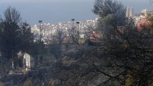 Gemeinschaft lebt in Wald bei Cefalù | Gemeinschaft lebt in Wald bei Cefalù