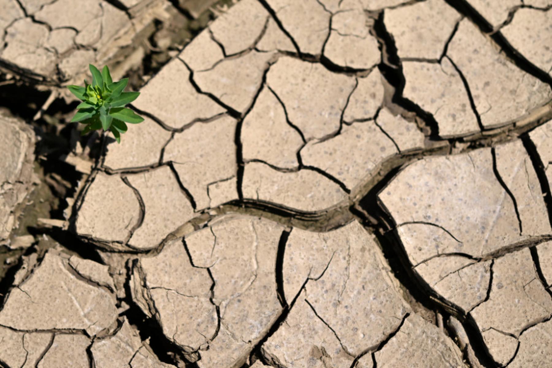 Wien: 68 Prozent halten Klimakrise für größte Herausforderung