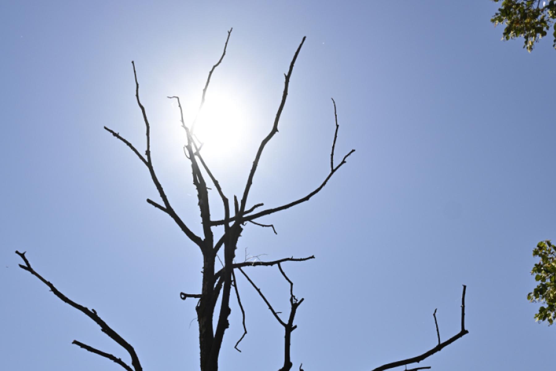 Helsinki: Finnland brach halbes Jahrhundert alten Hitzerekord