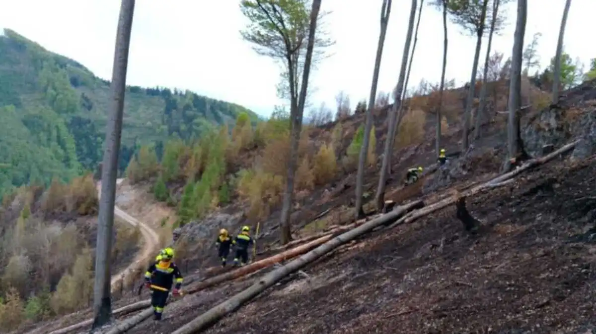 Der Waldbrand nördlich von Graz wurde auch am Dienstag weiter bekämpft | Der Waldbrand nördlich von Graz wurde auch am Dienstag weiter bekämpft