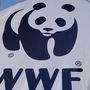 WWF-Aktion Earth Hour gestartet | WWF-Aktion Earth Hour gestartet
