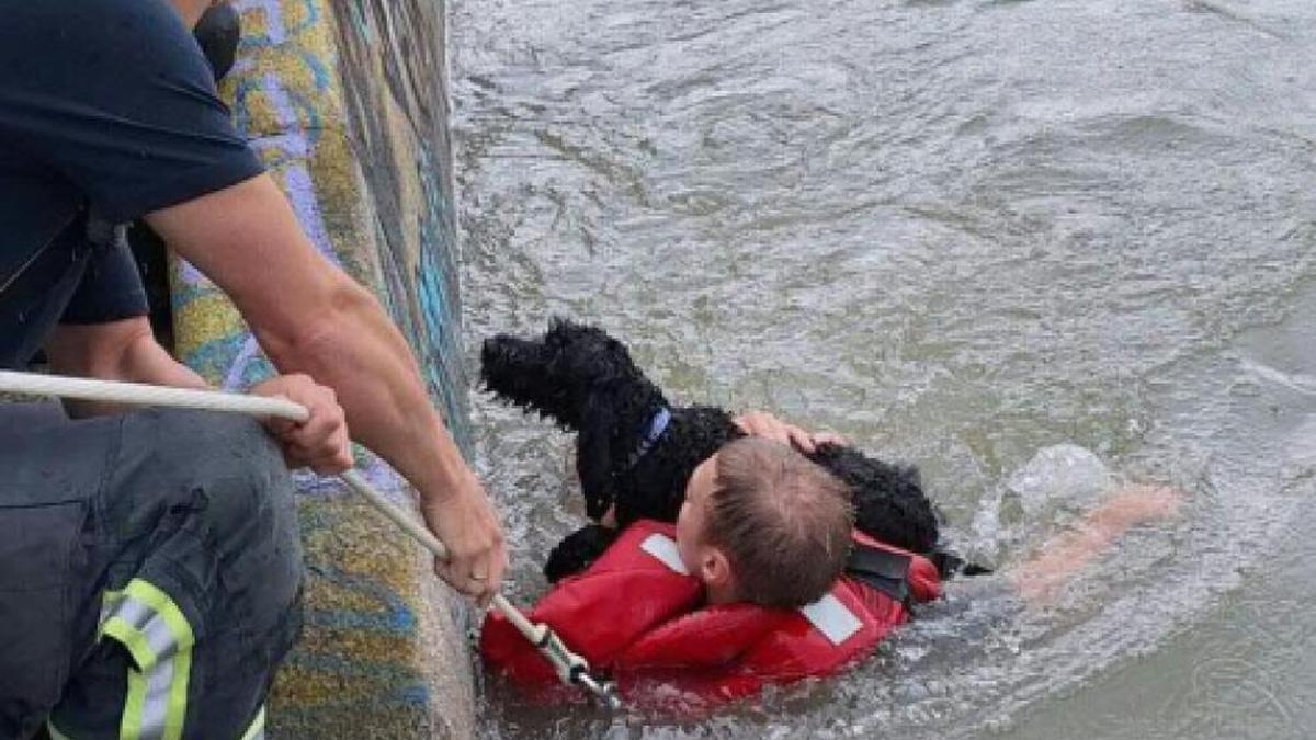 Feuerwehrmann rettete Vierbeiner aus dem Donaukanal | Feuerwehrmann rettete Vierbeiner aus dem Donaukanal