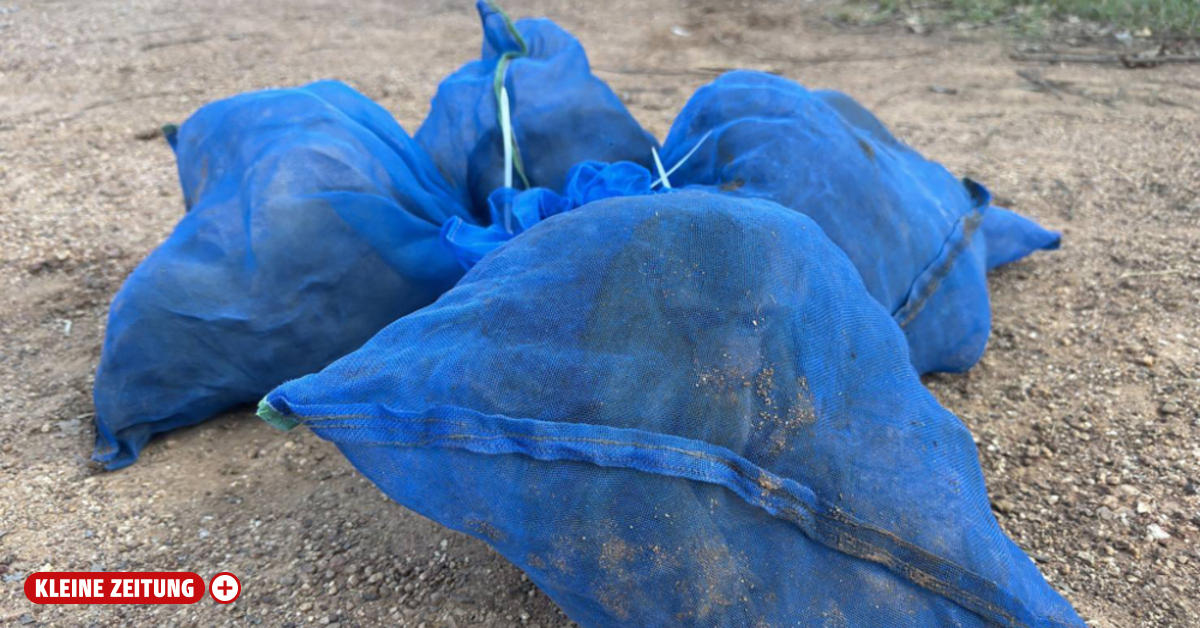 Thailand: Tierschmuggler mit 81 Makaken und Drogen erwischt