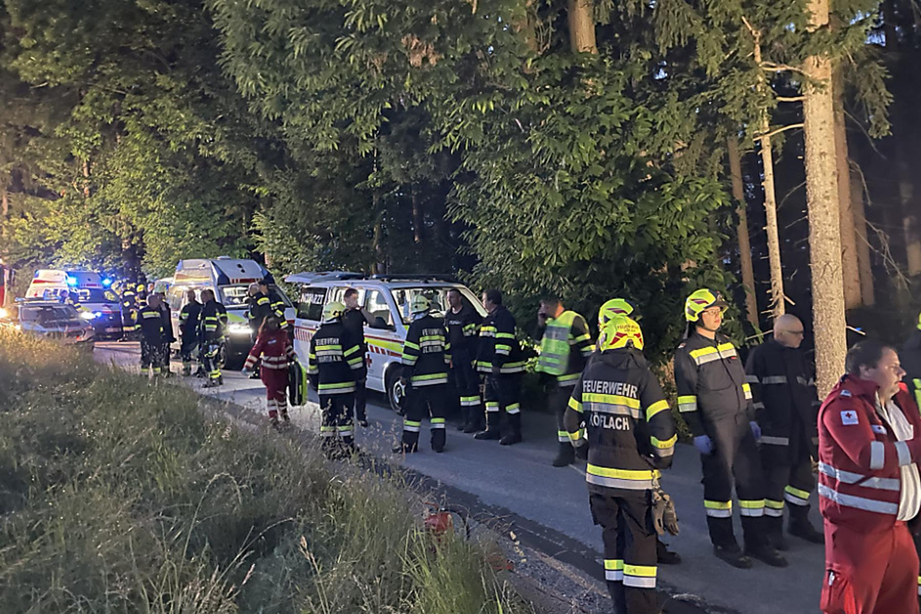 St. Martin am Wöllmißberg: Handy rettete Steirer nach schwerem Unfall