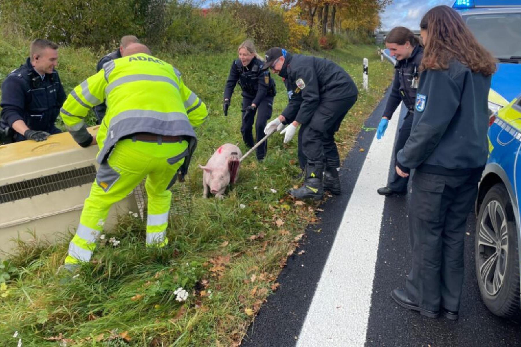 Ulm/Mödling: Tierischer Einsatz für Mödlinger Feuerwehr in Deutschland