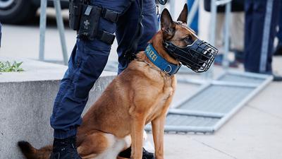 Auch Polizeihunde wurden zum Einsatz herangezogen | Auch Polizeihunde wurden zum Einsatz herangezogen