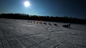 Das Iditarod führt durch die Wildnis Alaskas | Das Iditarod führt durch die Wildnis Alaskas