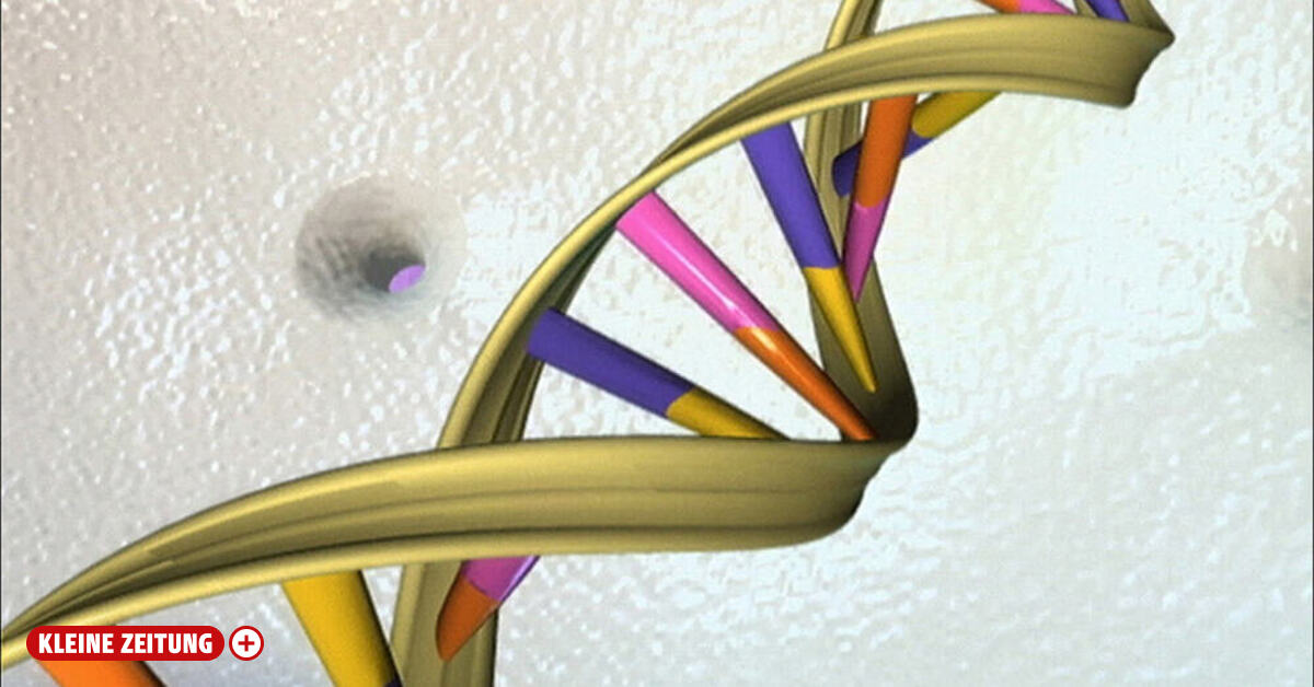 Jerusalem: Gene für langes Leben wohl wichtiger als bisher angenommen