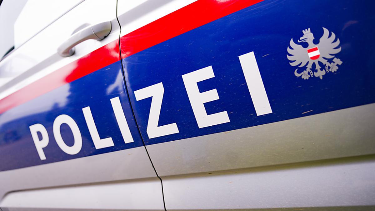 Die Polizei griff kurz nach dem Notruf einen Verdächtigen auf 