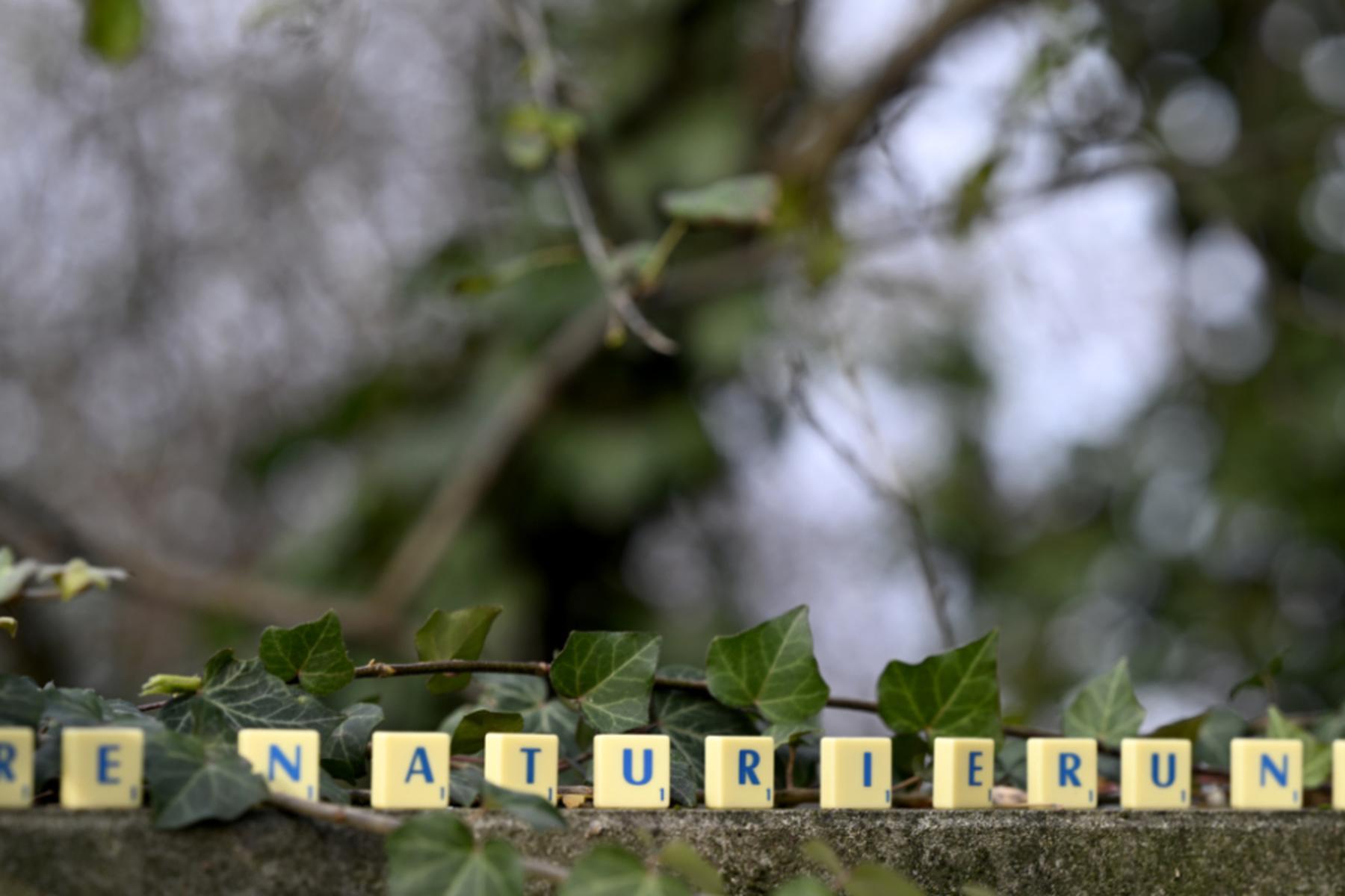 Wien/Graz: Vorwahl zum österreichischen Wort des Jahres läuft