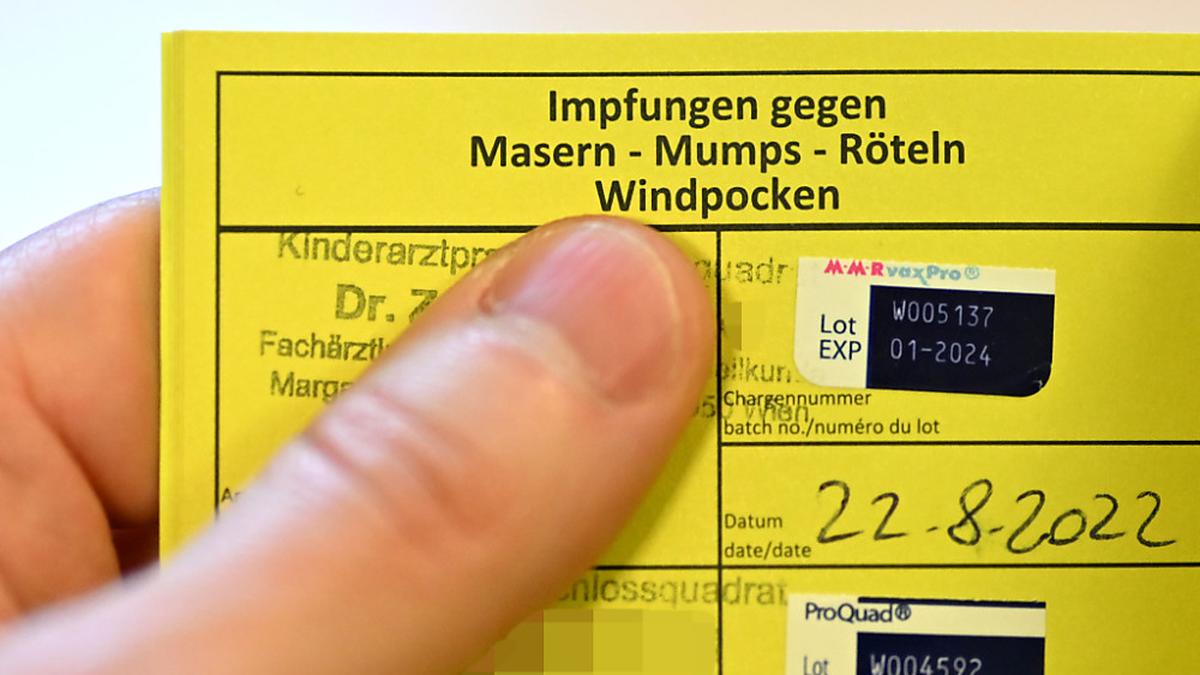 Impfpass mit abgebildeter Vierfachimpfung | Impfpass mit abgebildeter Vierfachimpfung