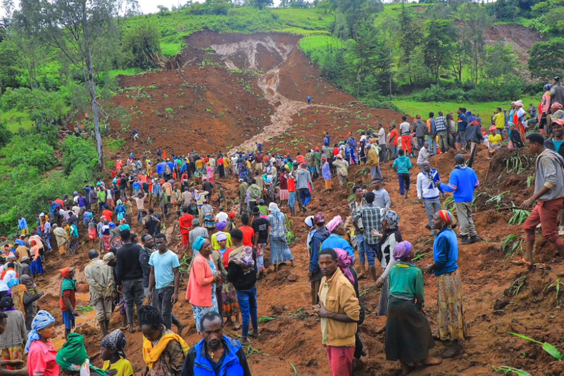 Addis Abeba: Opferzahl nach Erdrutschen in Äthiopien auf 229 gestiegen