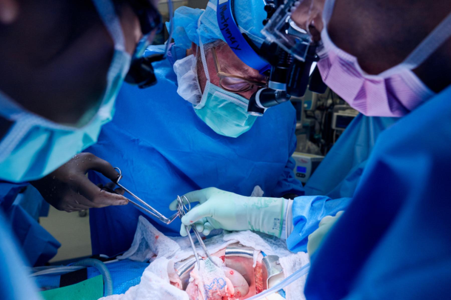 Seattle: Fast 800 Millionen Menschen mit chronischer Nierenkrankheit