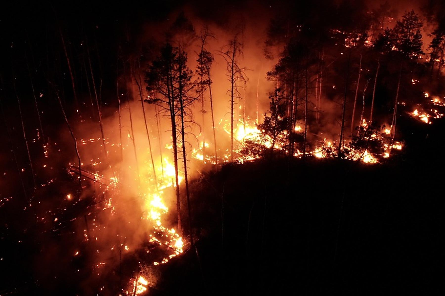 Davos: Waldbrandgefahr in den Voralpen steigt laut Studie stark