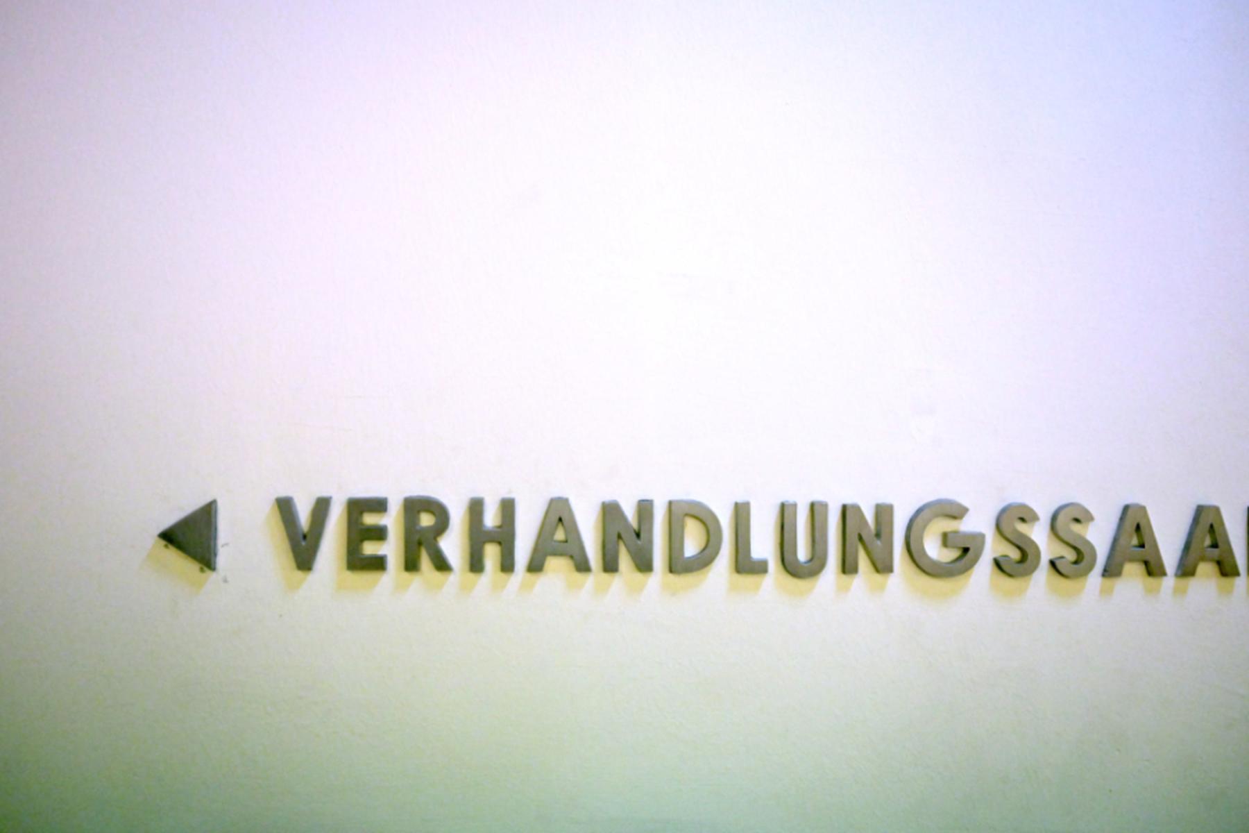 Na Dunaju potekal proces zaradi poskusa umora v parku