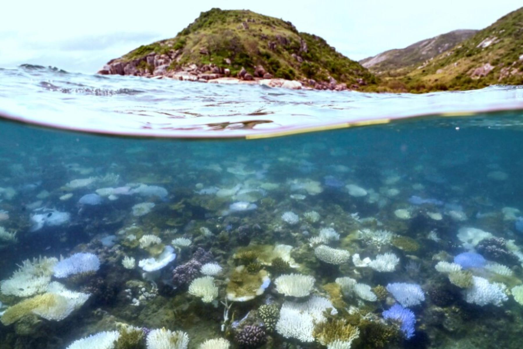 Canberra: Kreuzfahrtpassagierin bei Landausflug zurückgelassen