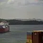 Immer mehr Meeresfische im Panamakanal | Immer mehr Meeresfische im Panamakanal