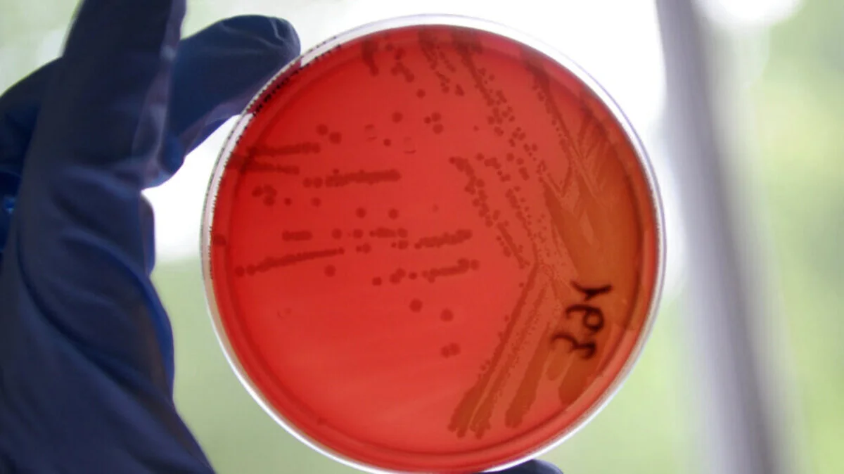 Produkt von Sorger in Hofer-Supermärkten verkauft | Produkt von Sorger in Hofer-Supermärkten verkauft