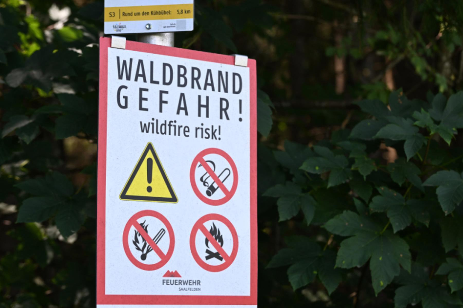 Wien: Warnung vor regionaler Waldbrandgefahr