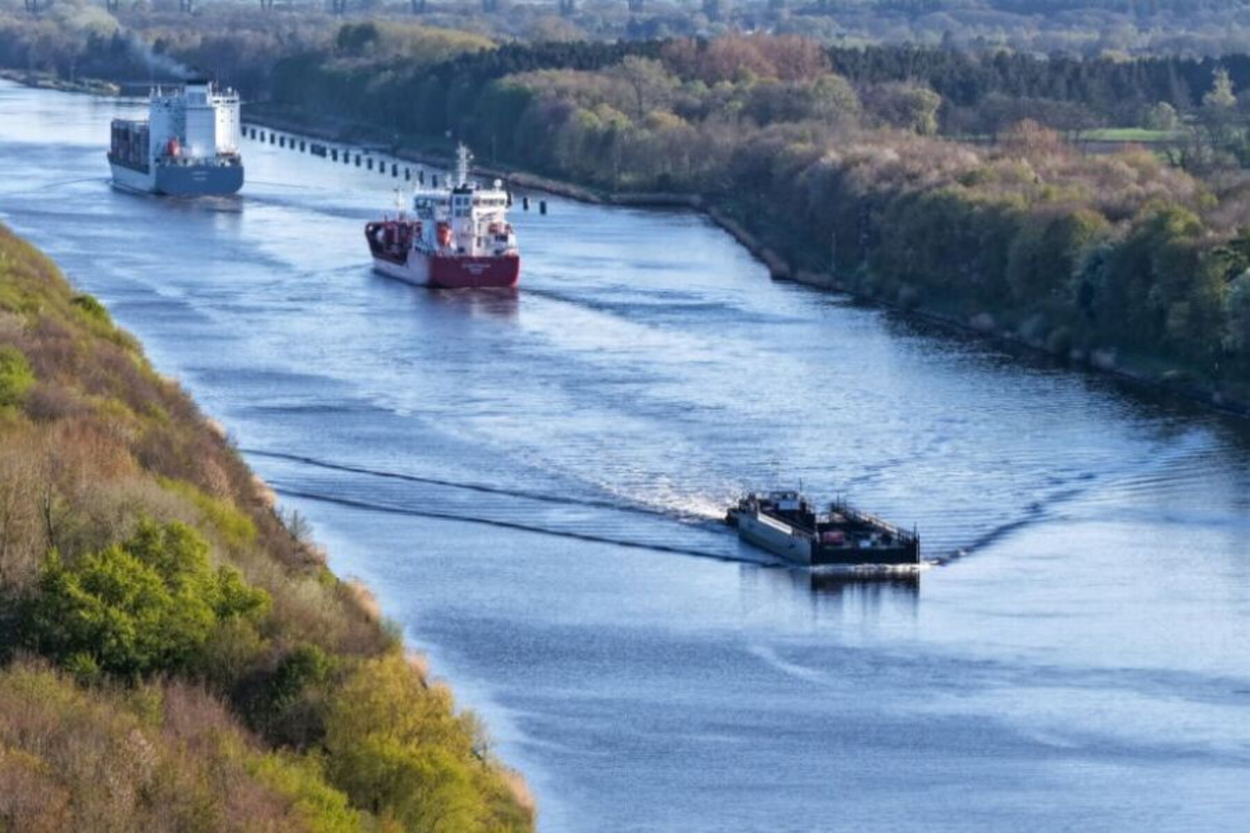 Buckelwal Timmy: Möglicher Abtransport des gestrandeten Wals diese Woche