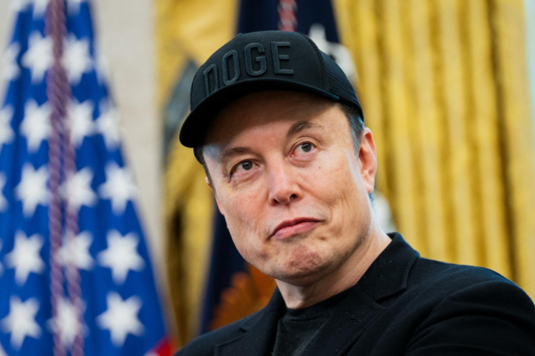 San Francisco: Musk bringt Konkurrenz für Wikipedia an den Start