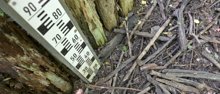 Flussbett ist ausgetrocknet | Flussbett ist ausgetrocknet