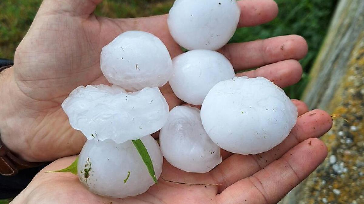 Das Aufräumen nach dem Unwetter im Waldviertel geht weiter | Das Aufräumen nach dem Unwetter im Waldviertel geht weiter