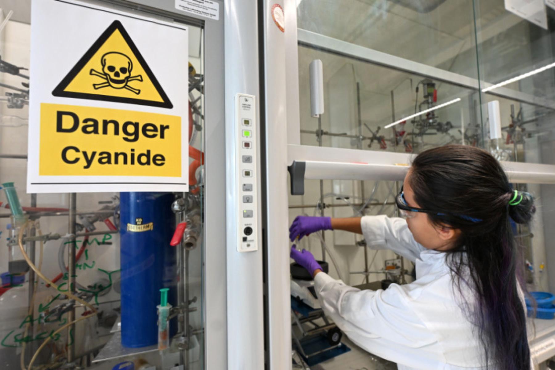 Wien: Nachwuchsforscher sehen Karriereperspektiven kritisch