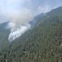 Der Waldbrand in Wildermieming löste einen Großeinsatz aus | Der Waldbrand in Wildermieming löste einen Großeinsatz aus