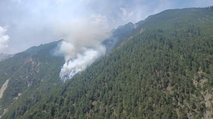 Der Waldbrand in Wildermieming löste einen Großeinsatz aus | Der Waldbrand in Wildermieming löste einen Großeinsatz aus
