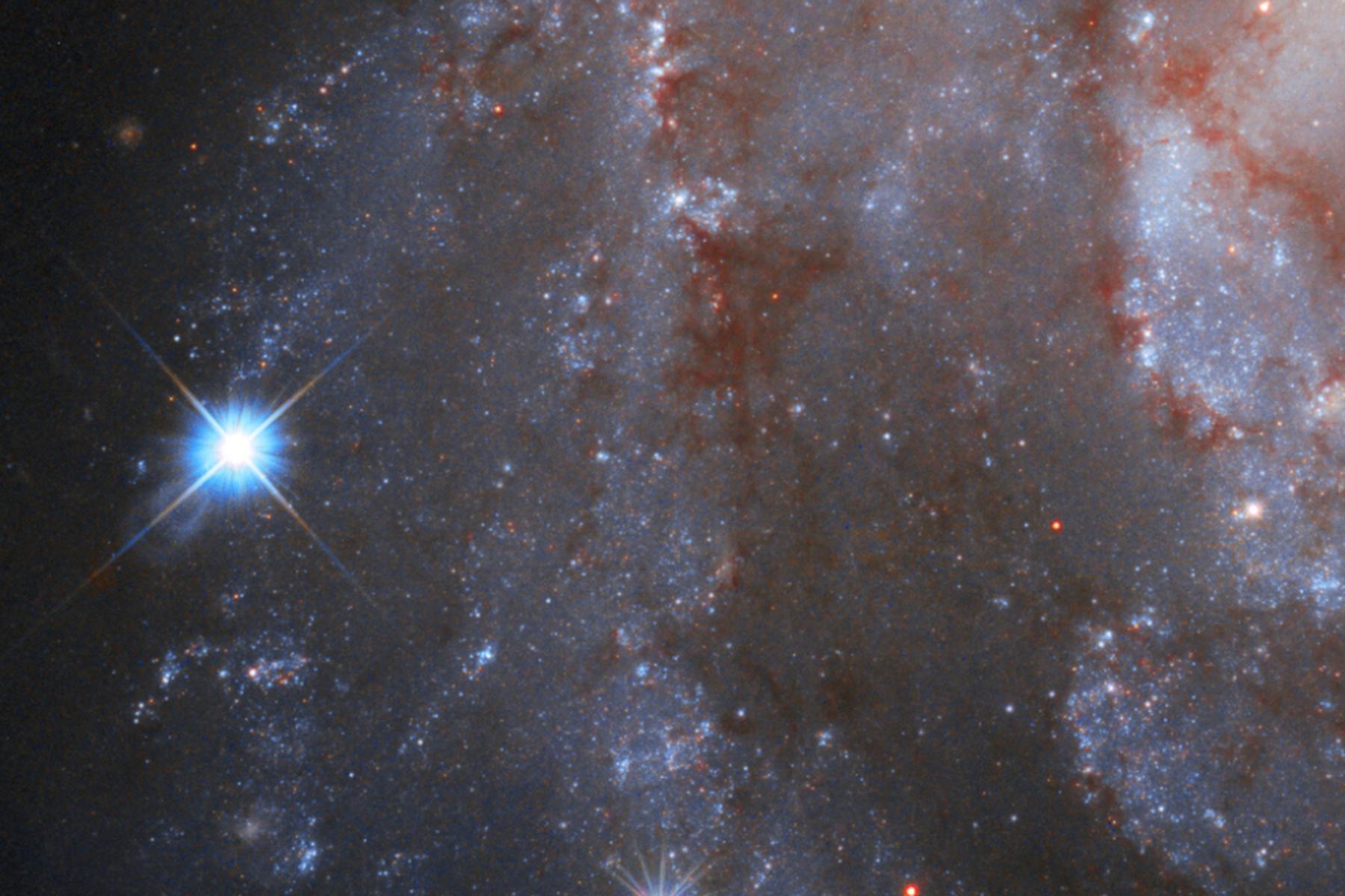Wien: Atmosphäre schützt bei naher Supernova vor Massenaussterben