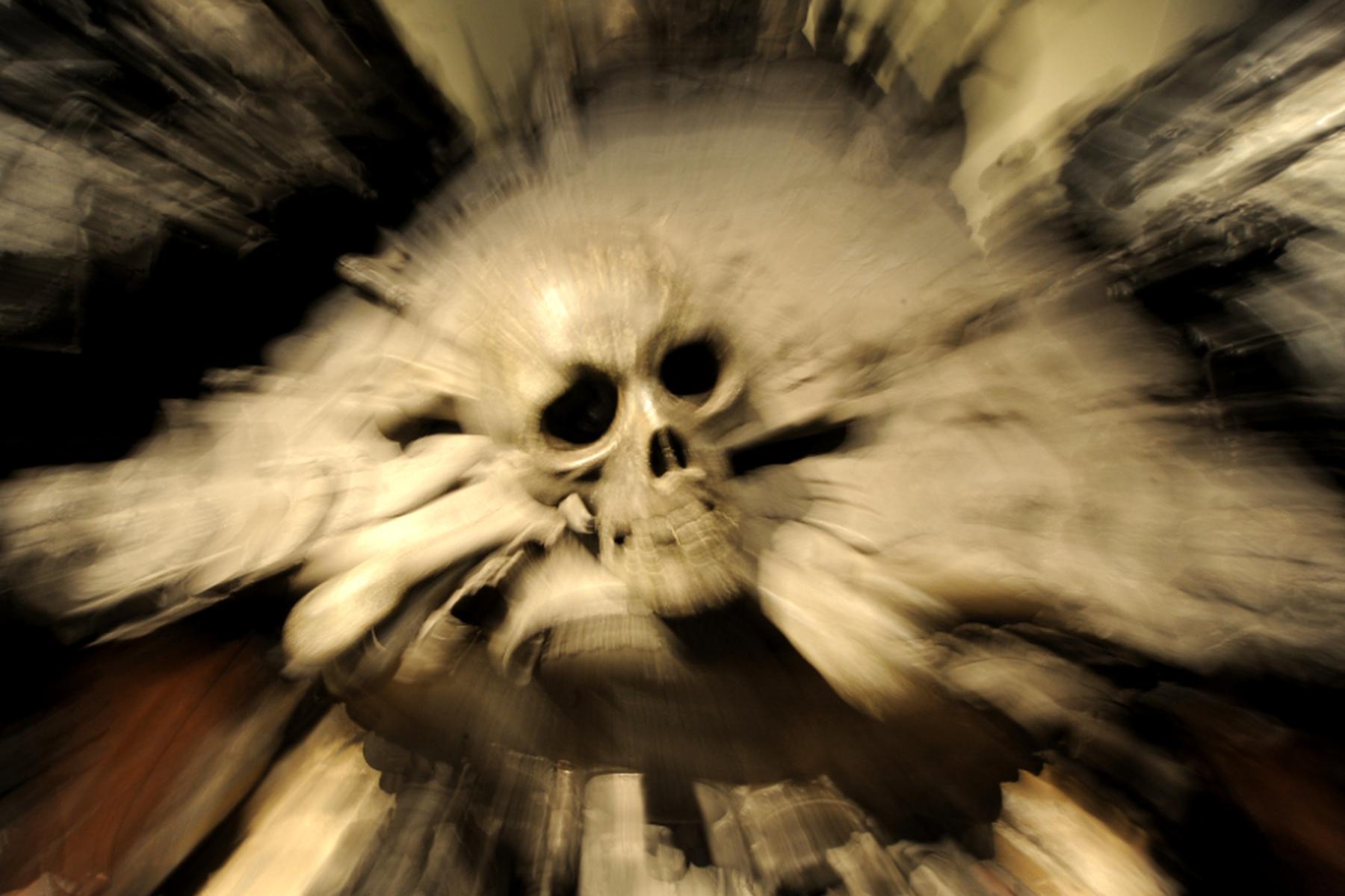 Washington: Totenhalle der Uni Harvard - Urteil nach Leichenteil-Handel