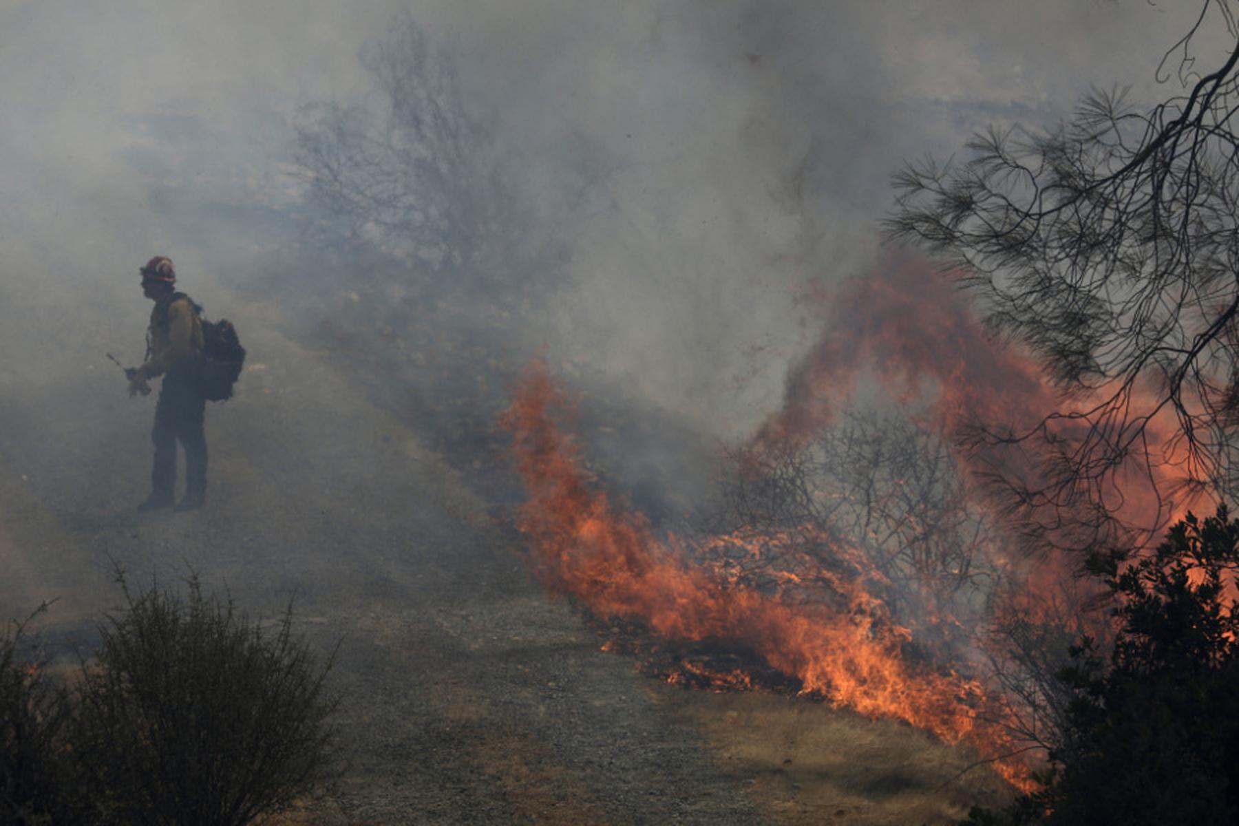 Fresno: Waldbrand bedroht kalifornische Mammutbäume