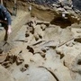 Team der ÖAI-Forschungsgruppe "Quartärarchäologie" bei der Freilegung der Knochenlage