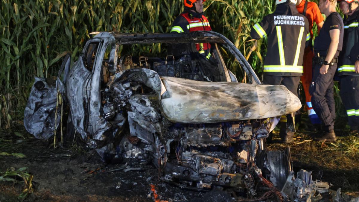 Das E-Auto krachte gegen einen Baum und ging dann in Flammen auf