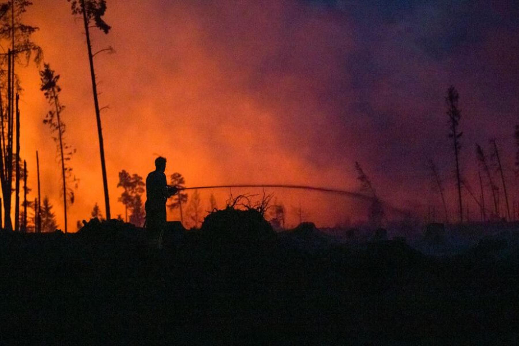 Wien/Laxenburg: Forscher suchen nach Waldbrandrisiko-Hotspots in Österreich