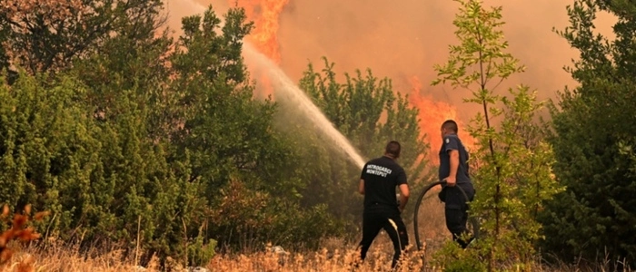 Brandbekämpfung in Montenegro | Die Einsatzkräfte in Südeuropa sind momentan voll gefordert – und bekommen auch Hilfe aus Österreich