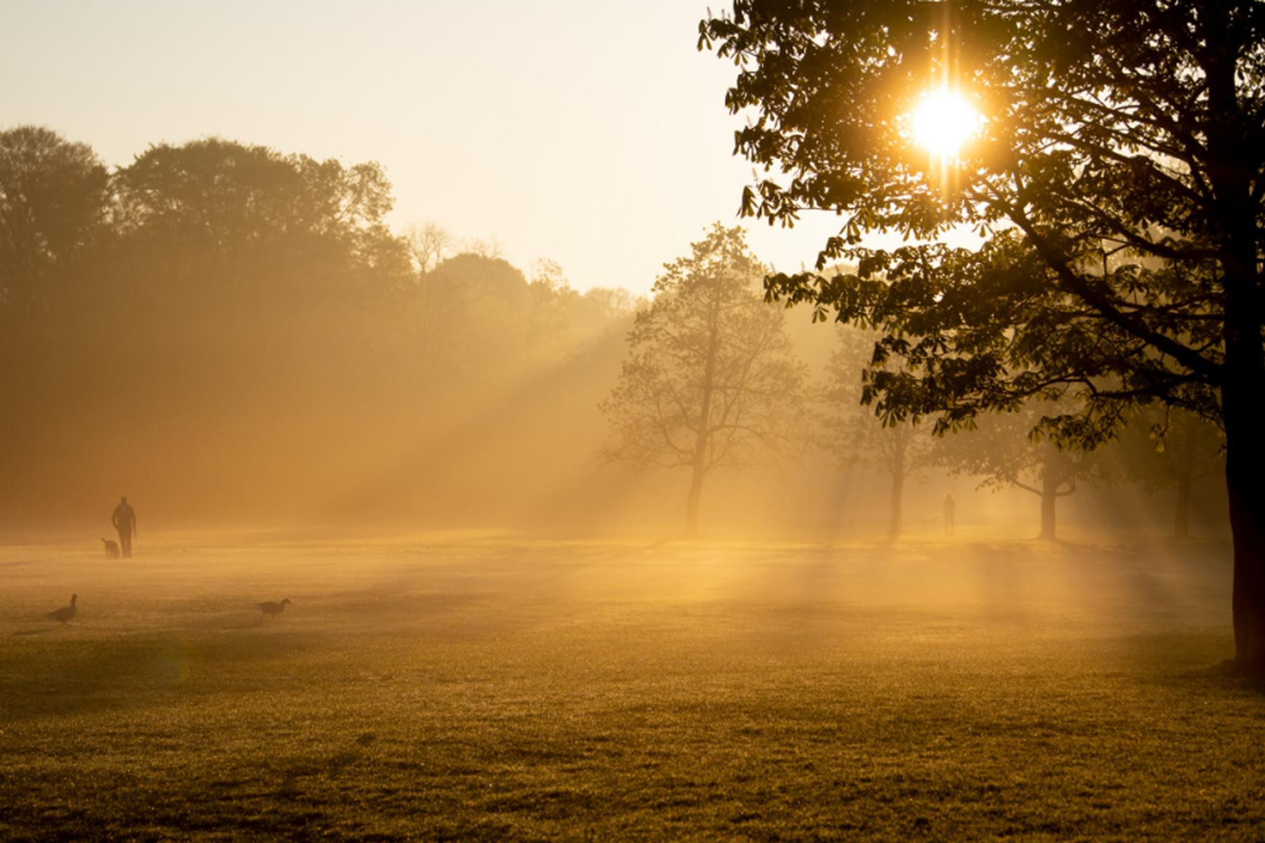 Wien: November 2025 war sehr sonnig