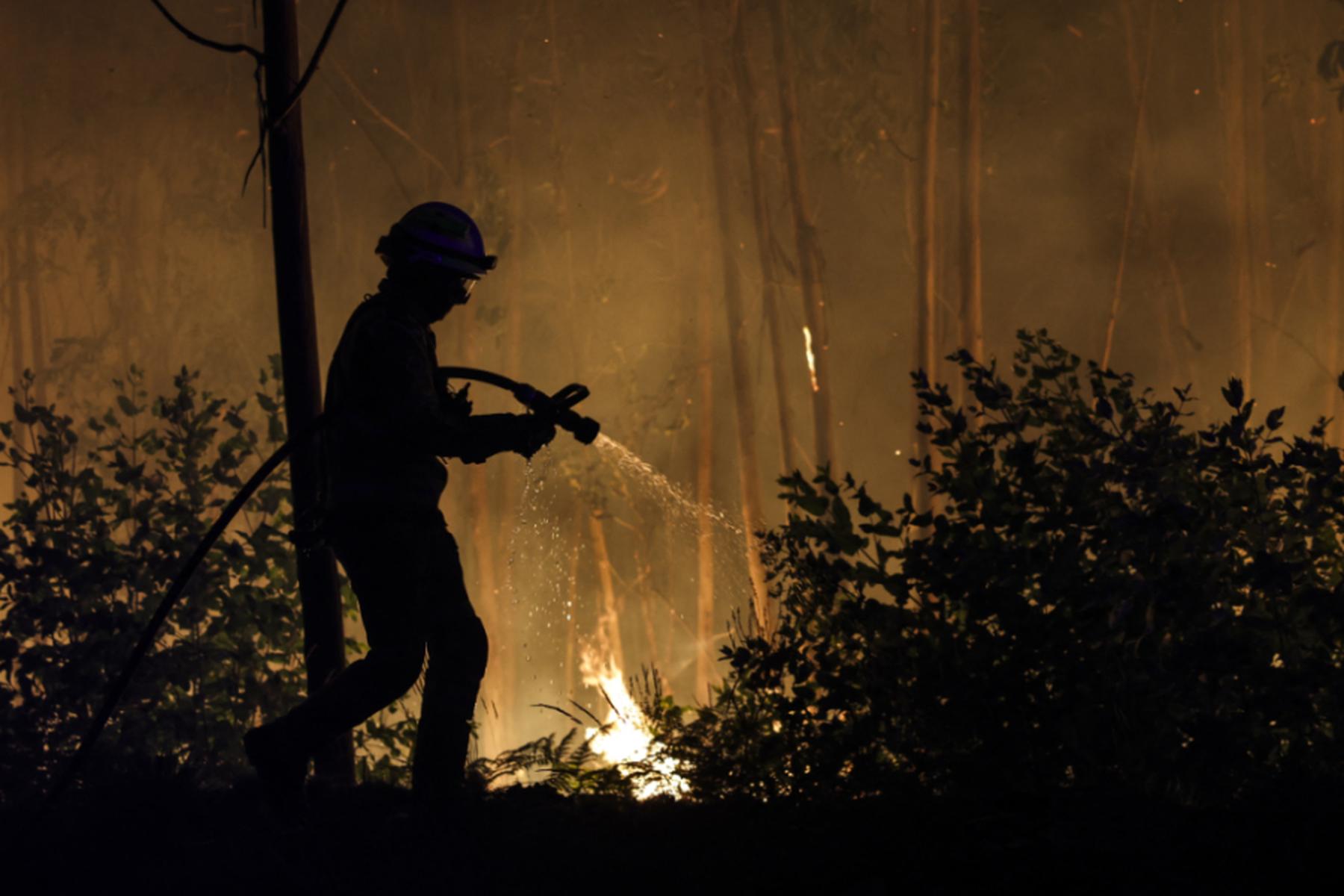 Lissabon: Waldbrände in Portugal nur teilweise unter Kontrolle