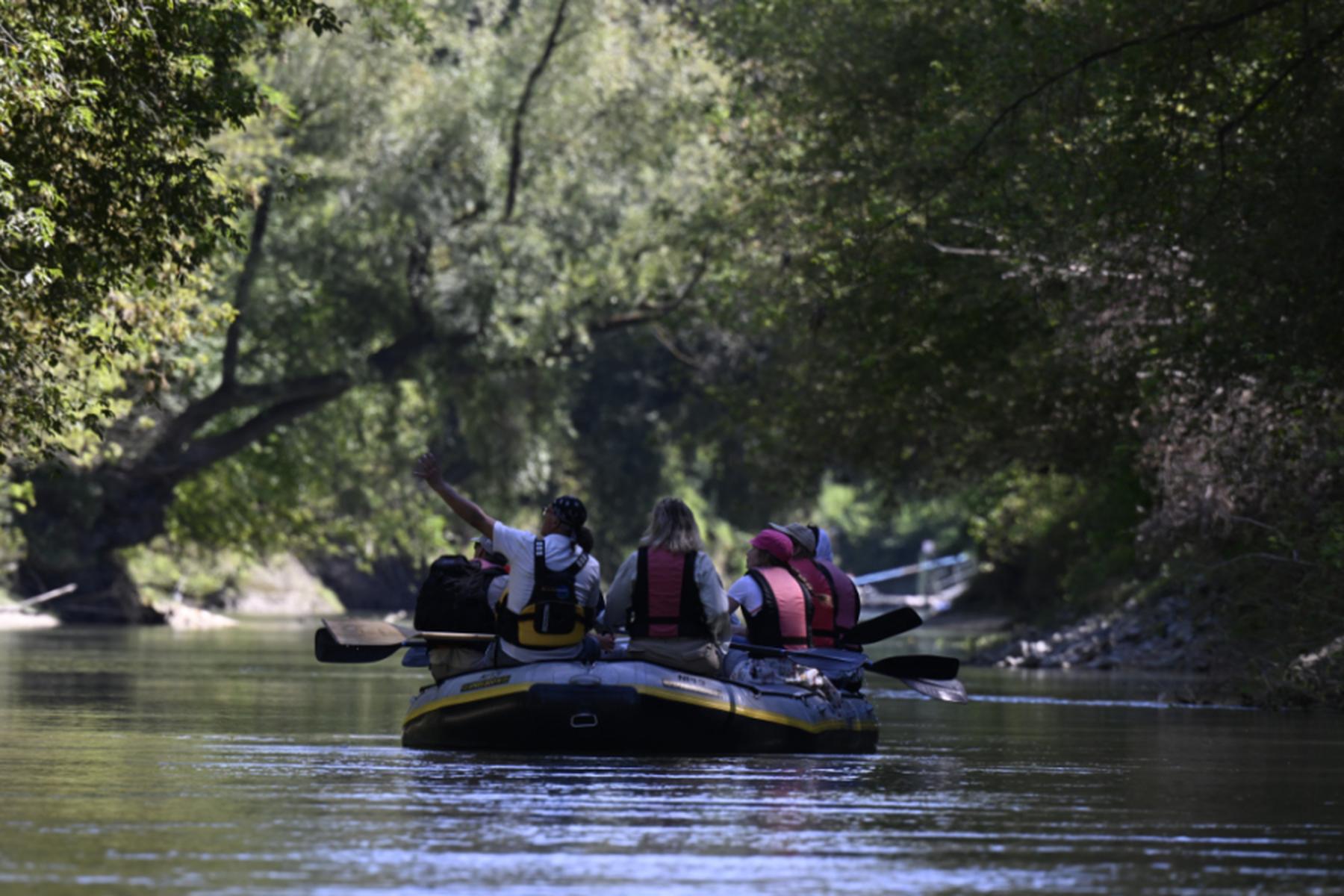 Petronell-Carnuntum/Hainburg/Wien: Renaturierung in Donau-Auen bringt Comebacks und Newcomer