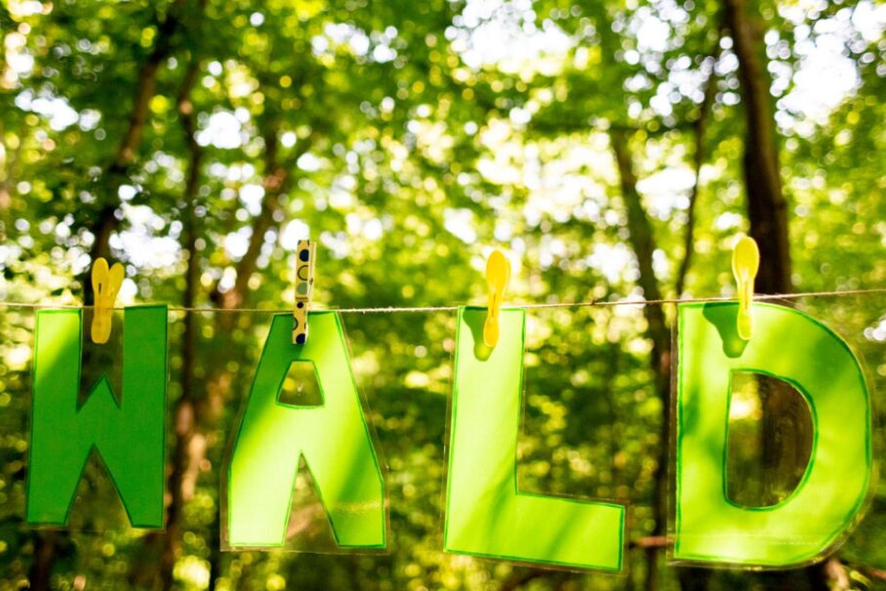 Brüssel: EU-Kommission will Ausnahmen bei Entwaldungsgesetz