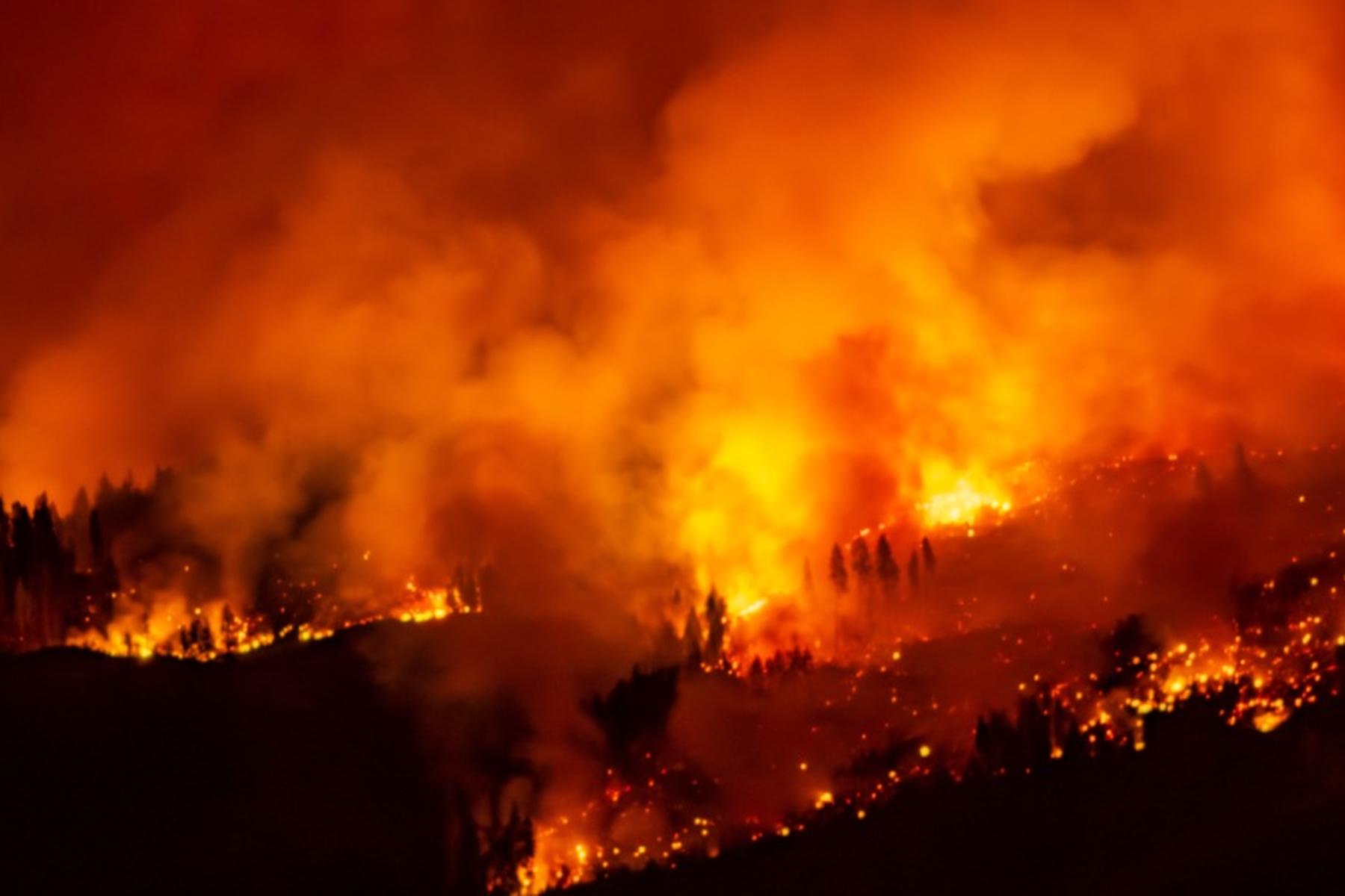 Vancouver: Heftiges Feuer wütet nahe Hafenstadt im Westen Kanadas