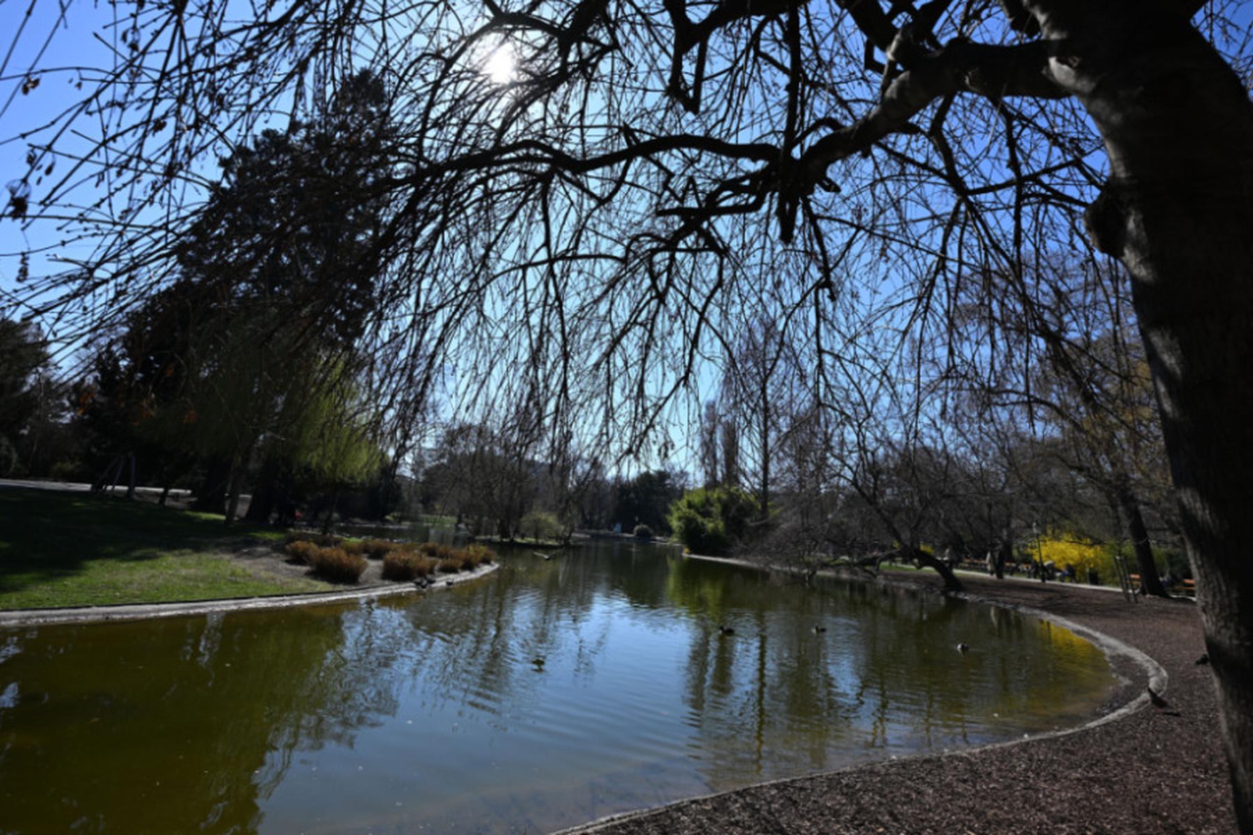 Wien: Nach Schlägen und Drohungen in Wien - Verdächtige gefasst