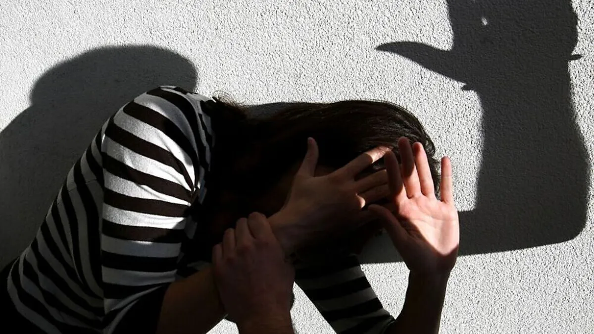 Die Gewaltschutzzentren forderten am Freitag Reformen | Die Gewaltschutzzentren forderten am Freitag Reformen