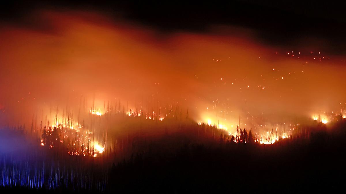 Zahlreiche Einsatzkräfte kämpfen gegen die Flammen